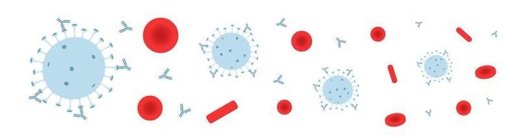 les anticorps marquent les virus dans le sang. la réaction du corps après la vaccination. concept. illustration vectorielle vecteur