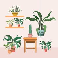 plantes d&#39;intérieur dans des cintres en macramé et une chaise en bois vecteur