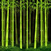illustration vectorielle de forêt de bambous de fond la nuit