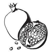 Doodle dessin de fruits de grenade tropicale dessinés à la main en noir sur fond blanc vecteur