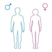 silhouettes roses et bleues de l'homme et de la femme avec des symboles vecteur