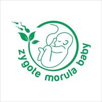 zygote morula bébé logo vecteur exclusif