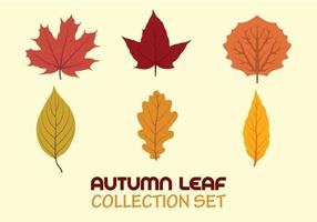 Collection de feuilles d&#39;automne vecteur