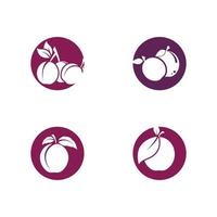 modèle de conception d'icône de vecteur de logo de prune