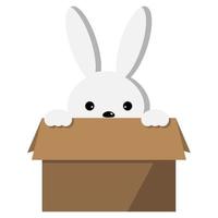 lapin de pâques dans une boîte en carton. vecteur