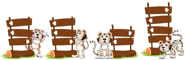 Tigres blancs près du panneau en bois vecteur