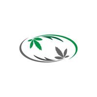 modèle de vecteur de conception de logo de feuille de cannabis