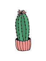 doodle illustration cactus sur blanc. cactus d'illustration de doodle coloré dans un style moderne sur fond blanc. vecteur