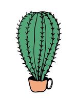 doodle illustration cactus sur blanc. cactus d'illustration de doodle coloré dans un style moderne sur fond blanc. vecteur