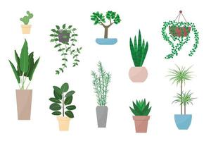 plante dans le jeu d'illustrations vectorielles en pot. vecteur