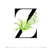 Alphabet lettre Z avec aquarelle cactus et feuilles vecteur