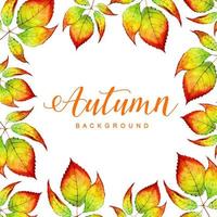 Belle aquarelle automne feuilles fond vecteur