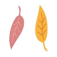 feuilles jaunies d'un arbre sur un fond isolé. temps de l'automne. éléments de design, logo, icône. vecteur. vecteur