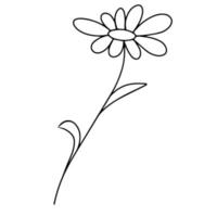 délicat croquis noir et blanc d'une fleur de printemps. illustration vectorielle dans un style dessiné à la main. vecteur
