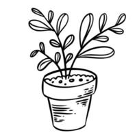 illustration vectorielle d'une fleur dans un pot et croquis dessinés à la main sur un fond blanc vecteur