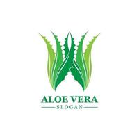 plante verte aloe vera logo vecteur icône symbole de nombreux avantages