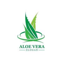 plante verte aloe vera logo vecteur icône symbole de nombreux avantages