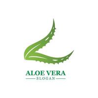 plante verte aloe vera logo vecteur icône symbole de nombreux avantages