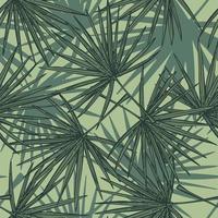 feuilles de palmier de ventilateur motif sans couture. branche tropicale rétro dans le style de gravure. vecteur