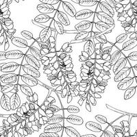 motif botanique vectoriel continu avec des acacias dessinés à la main. fond floral vintage feuillu de printemps. feuilles et herbes. arrière-plan pour textiles, tissus, couvertures, papiers peints, impression, emballage cadeau