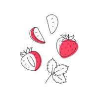 doodle de contour de fraise avec des taches. entières, morceaux, graines et feuilles. vecteur