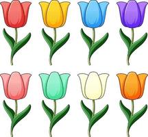 ensemble de fleurs de tulipes colorées vecteur