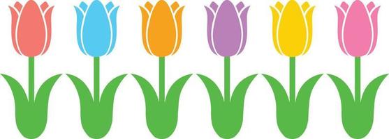 fleur de tulipes 1
