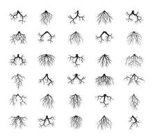 définir des racines noires. illustration vectorielle. vecteur