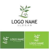 modèle de logo feuille icône vector illustration design