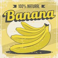 Signalisation rétro vintage banane vecteur