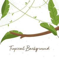 fond tropical. fond tropical avec espace de copie. fond tropical lumineux avec des plantes de la jungle. feuilles tropicales exotiques. illustration vectorielle vecteur