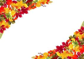 illustration vectorielle de fond de feuilles d'automne vecteur