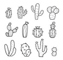 ensemble de cactus dessinés à la main. croquis de griffonnage. collection de plantes exotiques. illustration linéaire vectorielle. vecteur