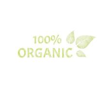 étiquette ou badge pour aliments et boissons biologiques produits naturels restaurant marché alimentaire sain et production dessin aquarelle vecteur