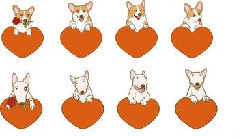 dessin animé corgi chien bull terrier chien tenant fleur rose rouge avec coeur beau chien amoureux le jour de la saint valentin vecteur