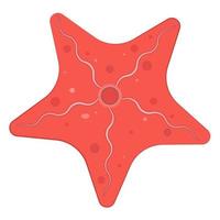 une grande étoile de mer rouge. illustration vectorielle vecteur