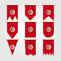 drapeau tunisien sous différentes formes vecteur