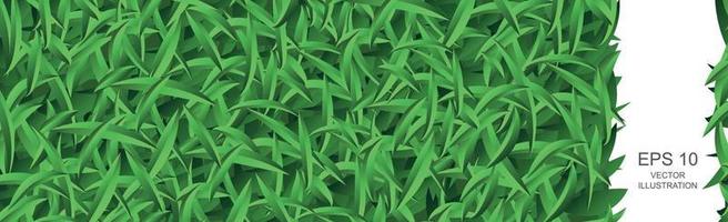 texture de modèle de fond panoramique pré herbeux vert réaliste - vecteur