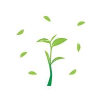 création de symbole d'icône vectorielle de logo de thé vert biologique