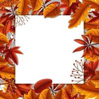 Concept de frontière de feuilles d&#39;automne vecteur