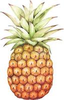 illustration aquarelle d'ananas aux fruits, peinte à la main. vecteur