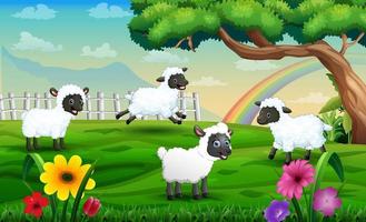 dessin animé de moutons jouant dans le pré sur un fond arc-en-ciel vecteur