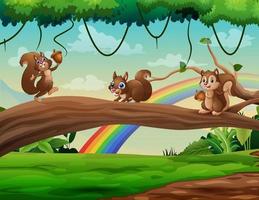 dessin animé mignon de trois écureuils sur un tronc d'arbre vecteur