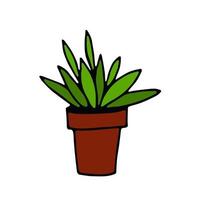 plante d'intérieur en pot dessinée à la main dans un style doodle. élément vecteur gra