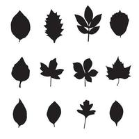 feuilles, silhouettes, ensemble vecteur