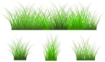 herbe verte isolée sur fond blanc, jeu d'herbe vecteur libre