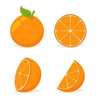 Ensemble d&#39;oranges tranchées vecteur