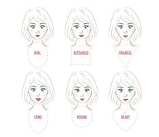 infographie de proportion de visage de femme. vecteur