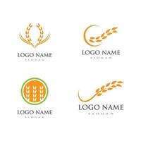 modèle de logo de blé vecteur