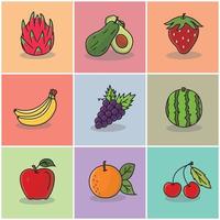 ensemble d'illustration vectorielle de fruits. fruit du dragon. avocat. fraise, banane, raisin, pastèque, orange, pomme, litchi vecteur